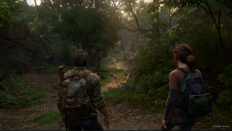 The Last of Us
